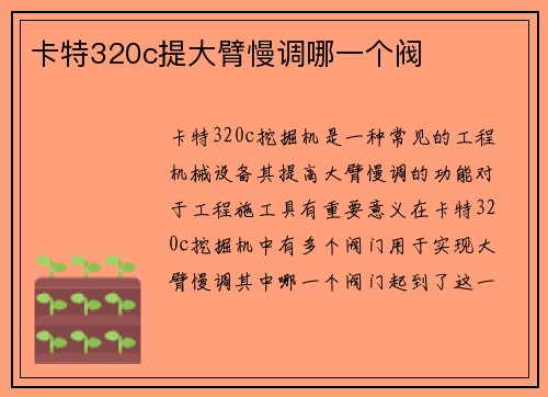 卡特320c提大臂慢调哪一个阀